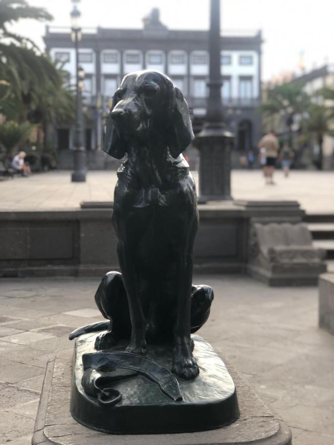 110 Square Meters, 5 Min Of All-best Area Of Palmas * Las Palmas de Gran Canaria